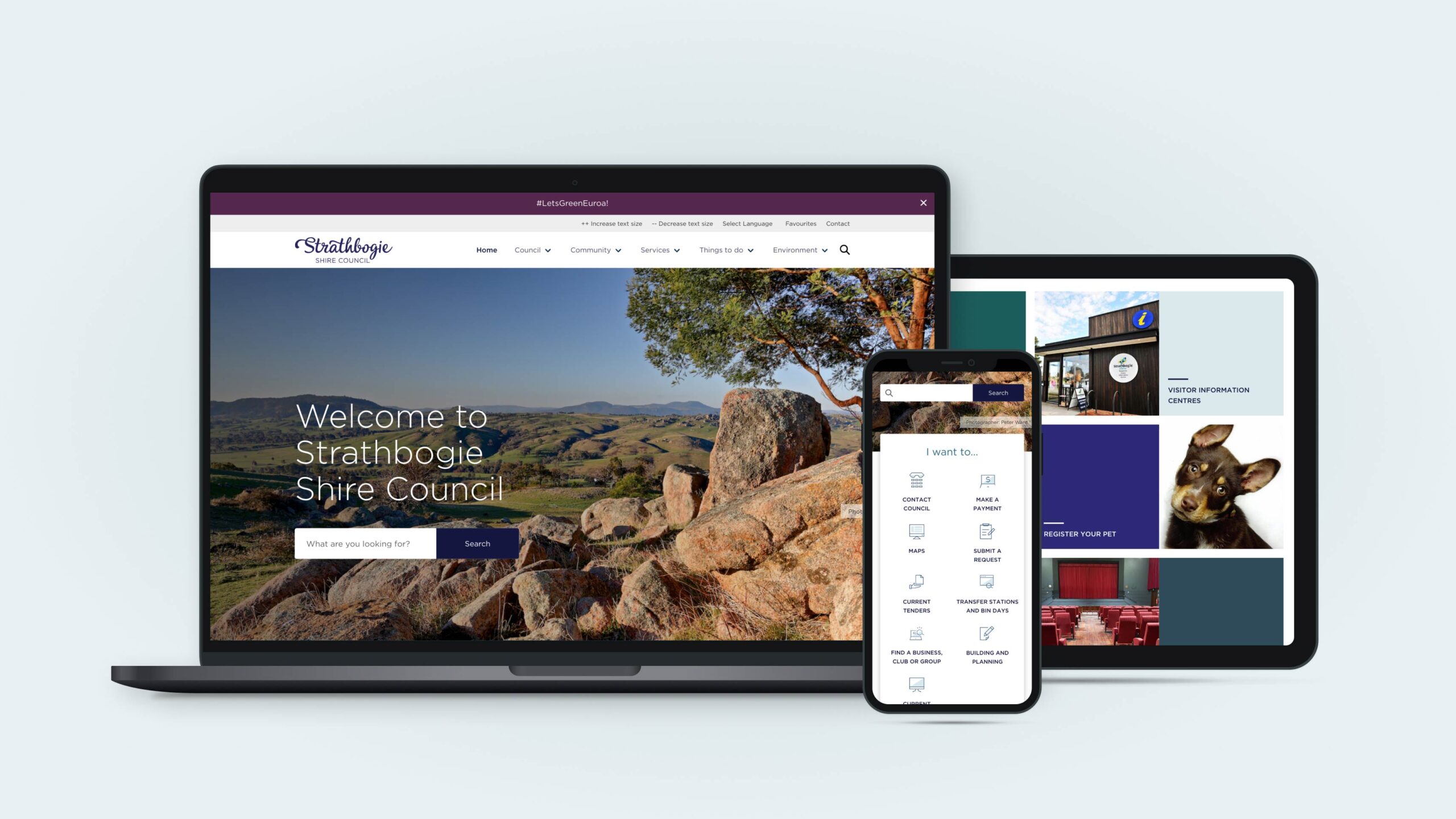 Rock full width image