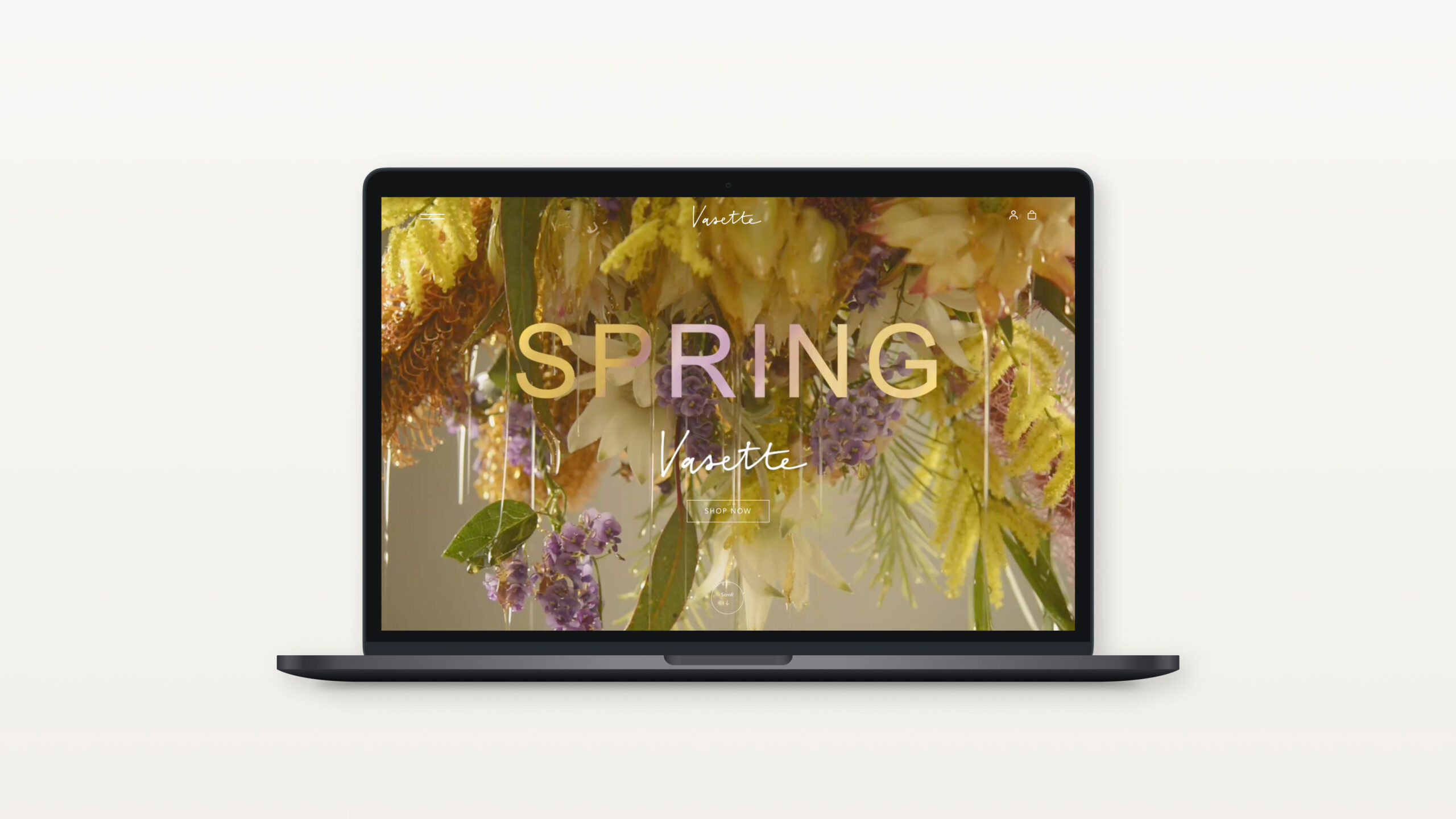 Rock full width image