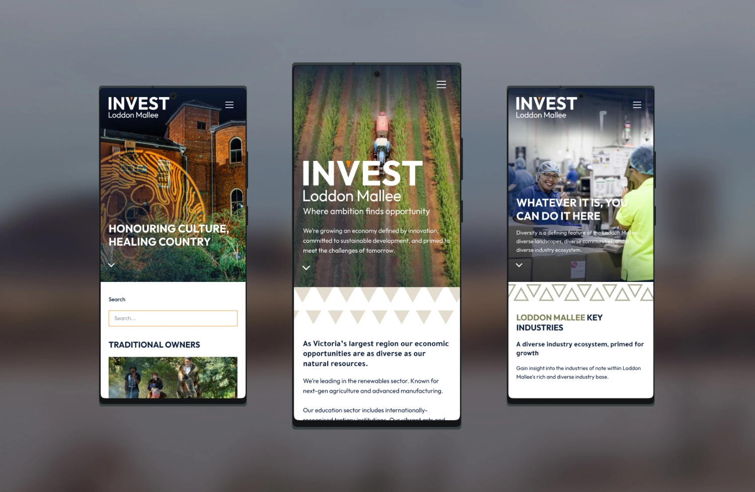 Invest Loddon Mallee