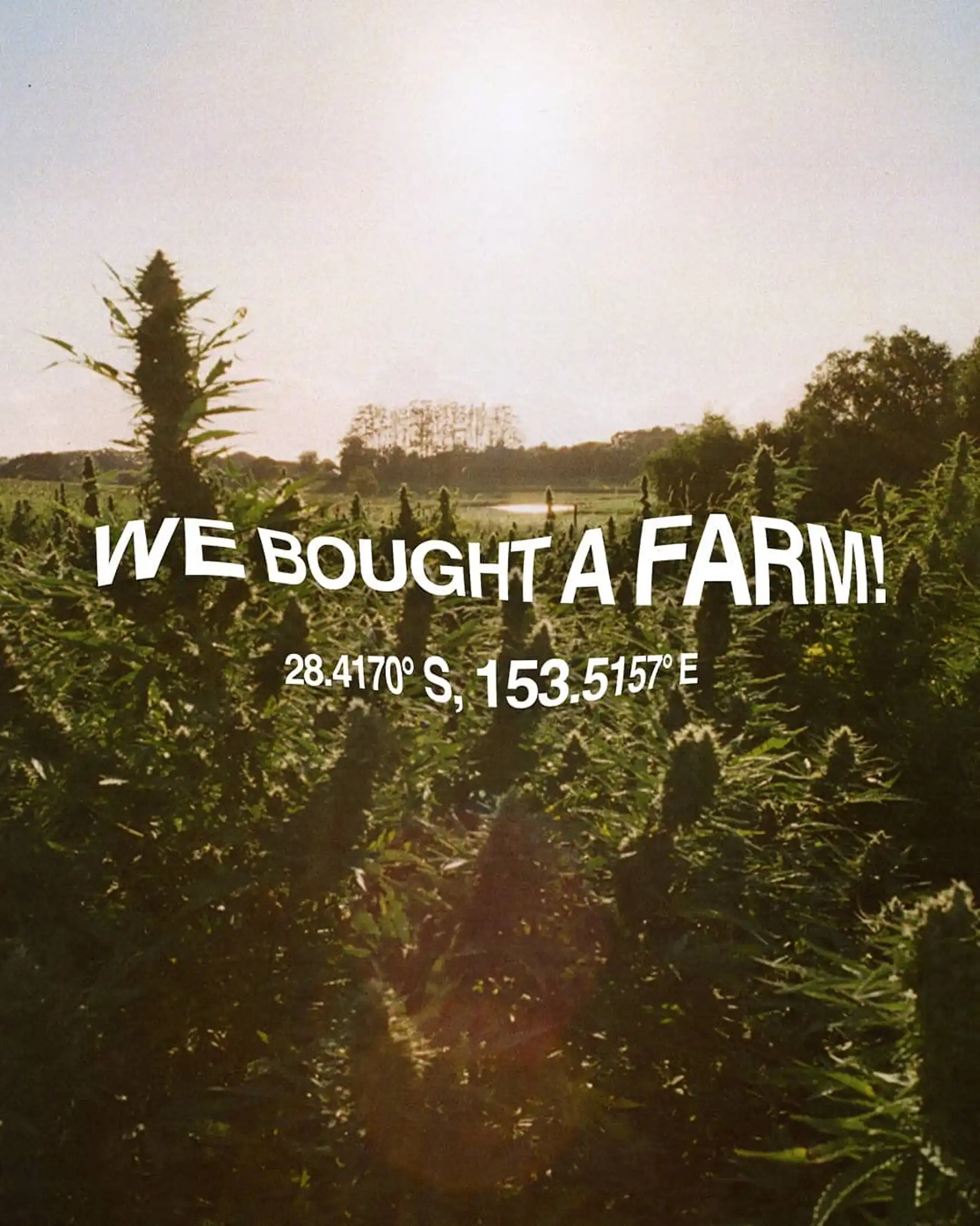 sfs_Asset_01_Portrait copy